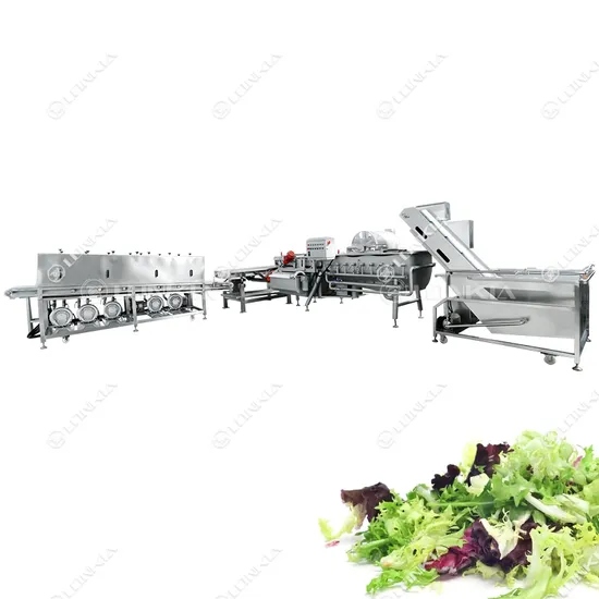 Automatic Fresh Vegetable Processing and Salad Production Line for Food Industry Automatic Vegetable Washing Cutting Machine