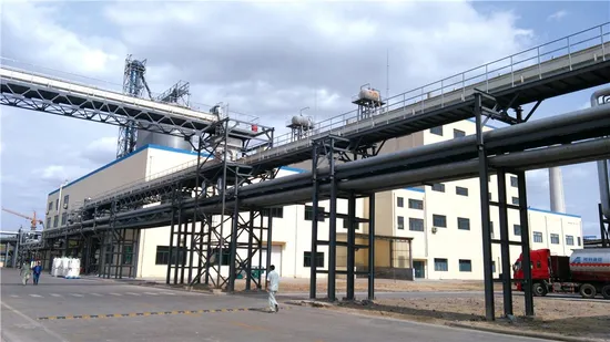 Soya Protein Machine/Soya Protein Equipment/Soybean Protein Plant/Soybean Protein Turnkey Plant