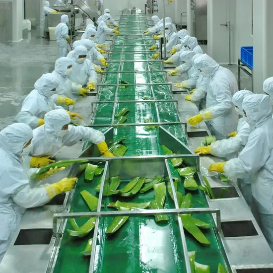 Turnkey Project for Aloe Vera Gel Production Line Juice Beverage Processing Line