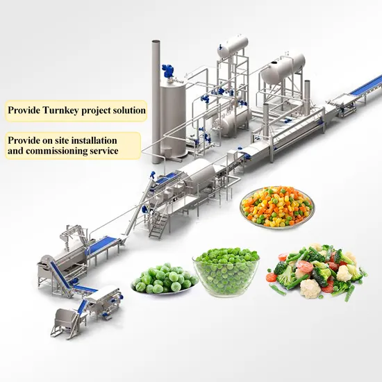 TCA Fruit and Vegetable Salad Cutting Drying and Washing IQF Frozen Freezing Production Line Machine