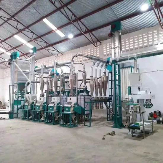 China Famous 15t/D Maize Milling Mchinery Mill Roller Flour Grinding