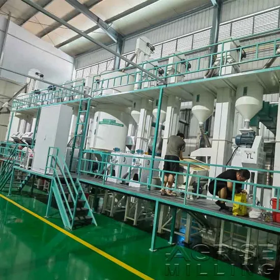 China 30-100tpd Paddy Rice Milling Mill Rice Polisher Machine Grain Processing Machinery Price