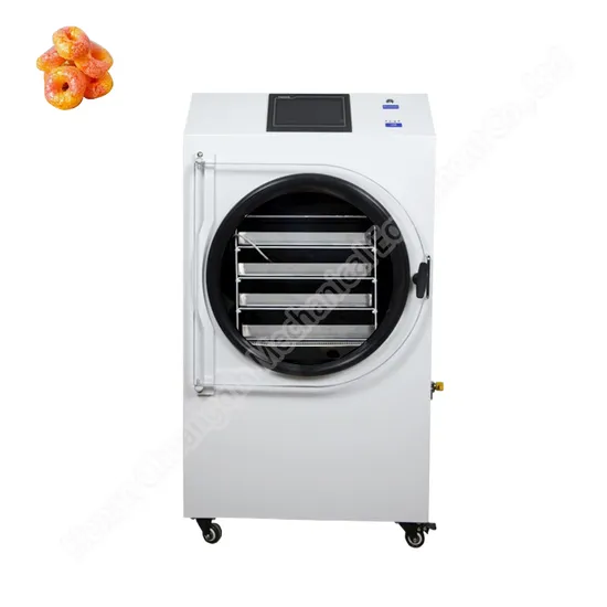 Home Fruit Food Freeze Drying Machine Vacuum Freeze Dryer Machine