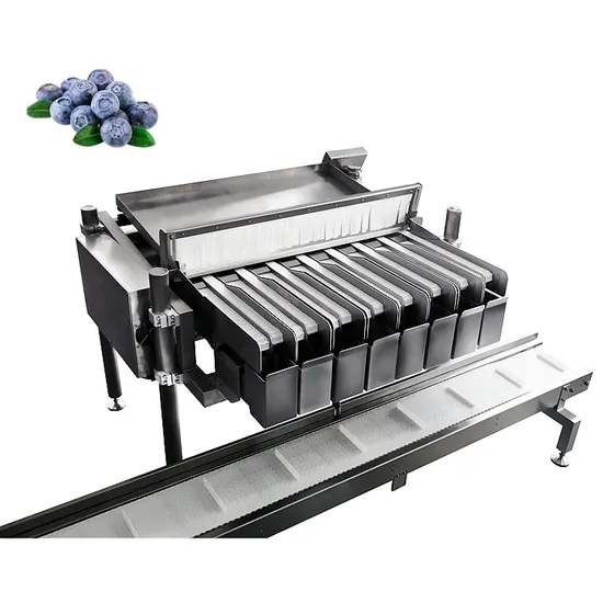 Full Automatic Blueberry Weighing Filling Machine Cherry Tomato Dates Grading Packing Machine