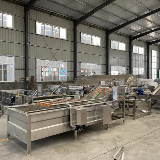 Commercial Vegetable Washing Machine Fruit Cleaning Line Bubble Vortex Washing