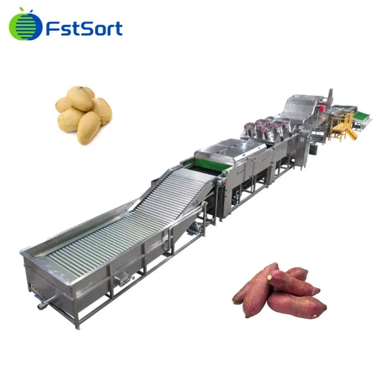 Potato Sorting Machine/ Potato Sorting Grading Machine/Sweet Potato Sorting Machine/Vegetable Sorting Machine