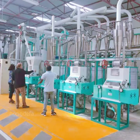 Factory Price Maize Corn Flour Milling Posho Mill Machine for Africa