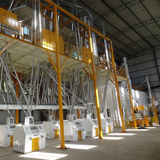 100tpd Wheat and Maize Milling Machine