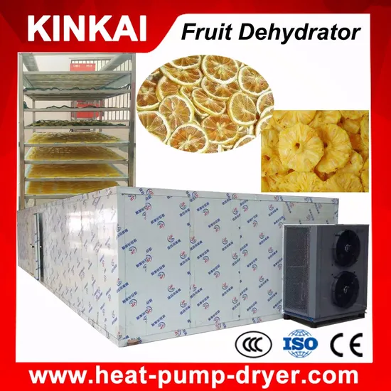 Various Food Fish Tomato Drying Type Industrial Fruit and Vegetable Dryer Machine