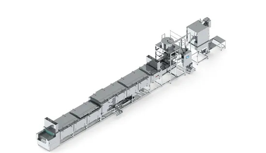 Single-Layer Steamed Rice Production Line. Commercial Single-Layer Steam Rice Production Line