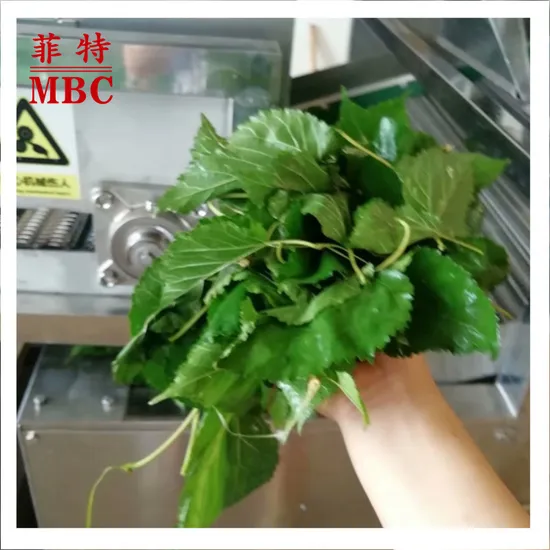 Good Performance Industrial Corn Potato Dates Tomato Orange Strawberry Cucumber Processing Food/Fruit/Vegetable Washing Cleaning Machine