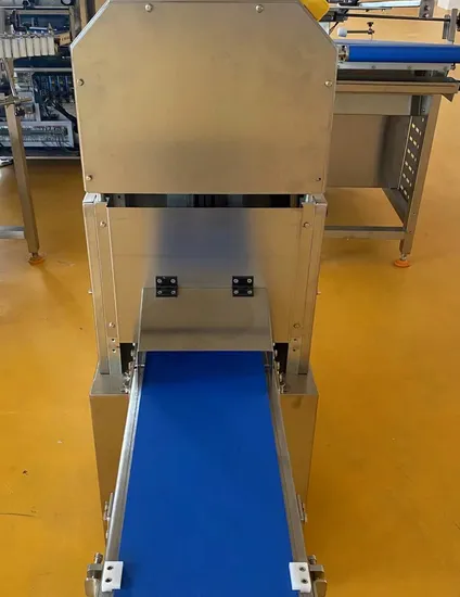Industrial Commercial Dough Forming Production Line for 300 Molding Mainframe