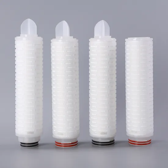 Hydrophilic Pes (Polyethersulfone) Membrane Pleated Cartridge Filters 0.22/0.45/0.65 Micron for Beverage Sterile Filtration