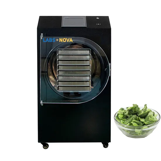 Sleek Mini Food Freeze Dryer for Home and Commercial Food Processing