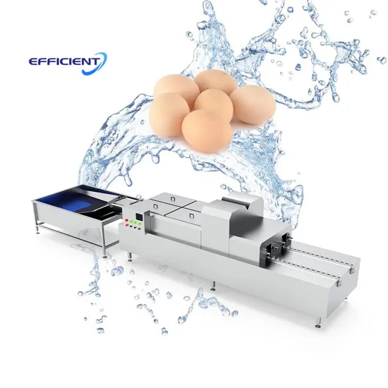 Industrial Poultry Egg Wash Machine Egg Washer Machine for Sale