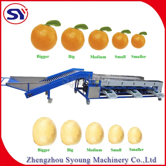 Tomato Potato Classification Automatic Fruit Sorting Grader Machine