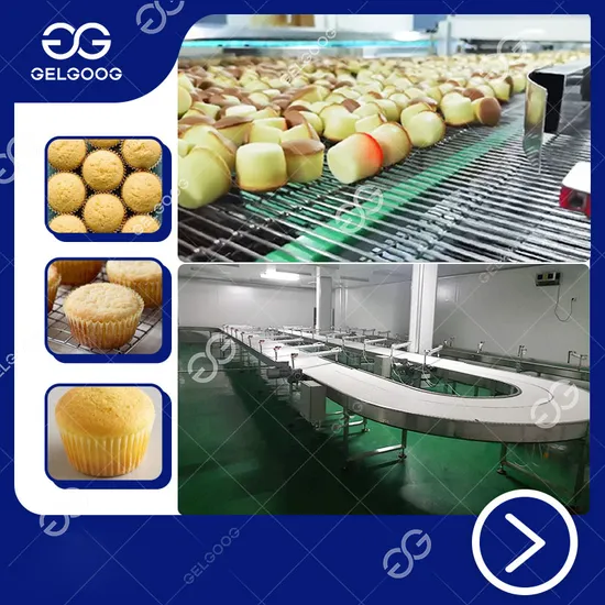 Stainless Steel Cup Cake Maker Machinery Cake Making Machine Price in Kenya