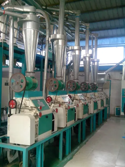 Turkey Project Wheat Flour Mills Milling Machines