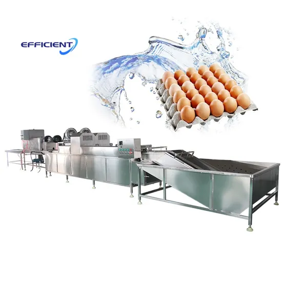Industrial Poultry Egg Wash Machine Quail Egg Washer Machine for Sale