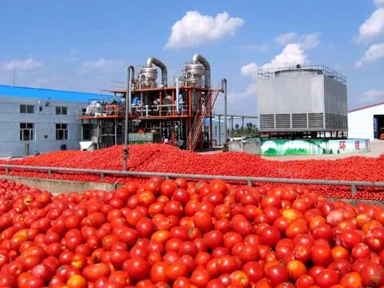 Tomato Sauce Processing Machine