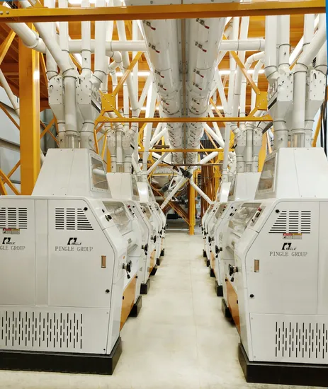 Parmesan Cheese Powder Milling Machine Manufacturer
