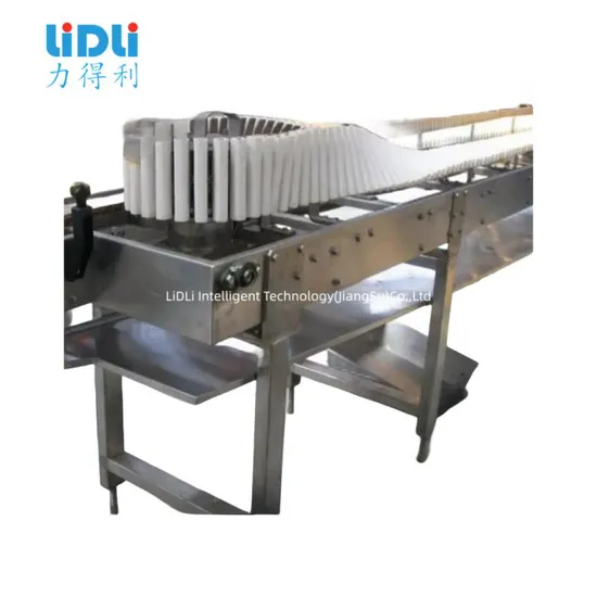 Stainless Steel Sterilizing Bottle Conveyor Systems Pet Bottle Tilting Sterilizer