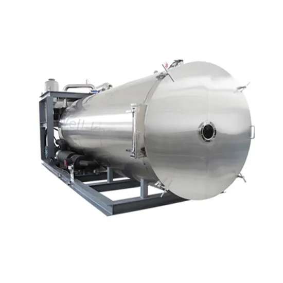 Food Lyophilizer Industrial Freeze Dryer for Fruits and Vegetables