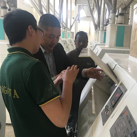 Professional Manufacture Good Processing Technology Flour Mill Machine