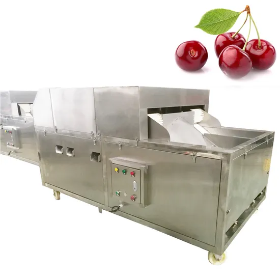 Automatic Commercial Cherry Pitting Machine Auto Industrial Seed Removal Machine