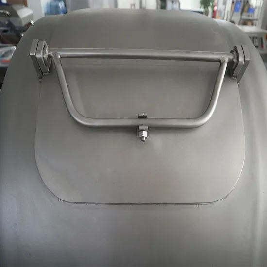 Lamb Beef Pork Chicken Mixer vacuum Tumbling Mixing Machine