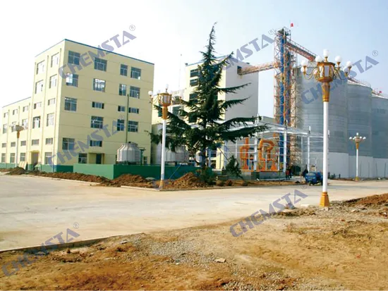Turnkey 800 T/D Soya White Flake Producing Equipment with ISO & ASME Approved