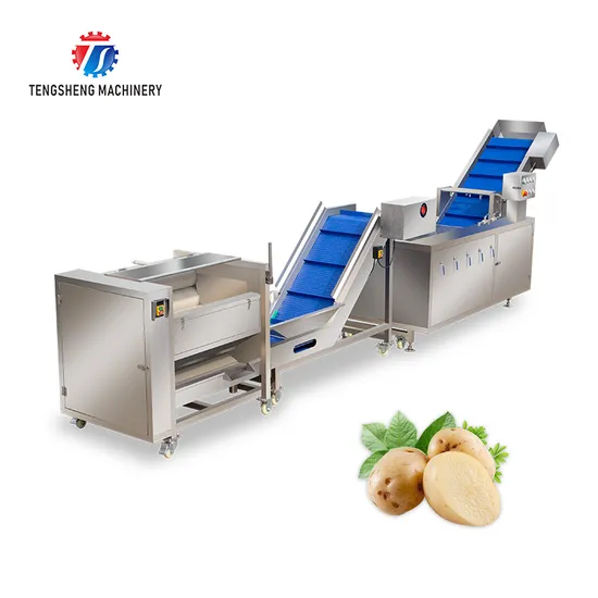 Automatic Stainless Steel Fruit and Vegetable Hair Roller Cleaning Production Line