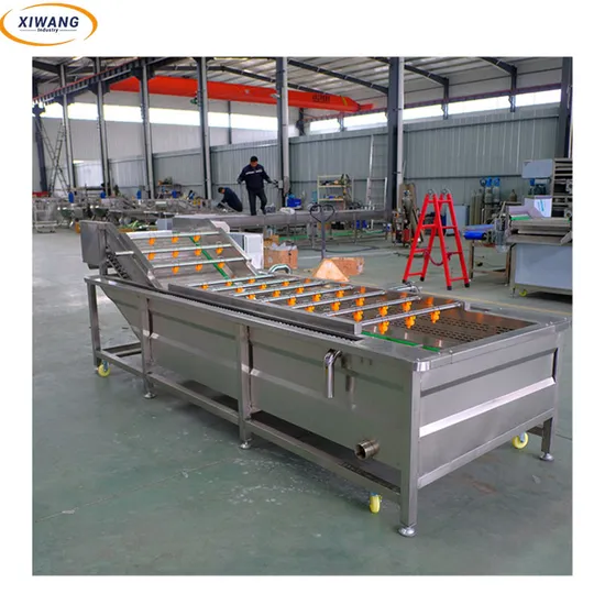 Automatic Vegetable and Fruit Washing Line
