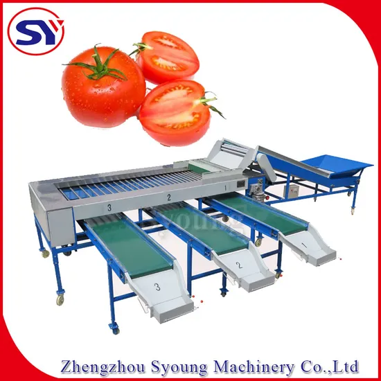 Factory Price High Efficiency Potato Tomato Roller Type Sorting Grading Selecting Machine