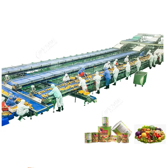 Fast Food Quick Frozen Food Production Line Quick Food Packing Machine Automatic Packing Machine for Semi-Finished Prefabricated Vegetables