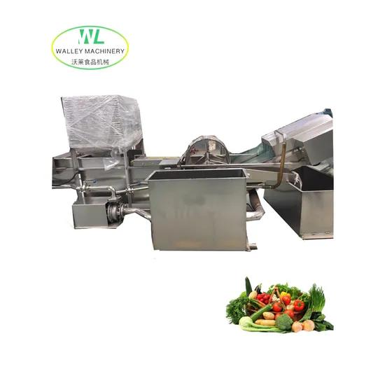 Factory Price Wash Tomato Vegetable Multifunctional Bubble Washing Machine