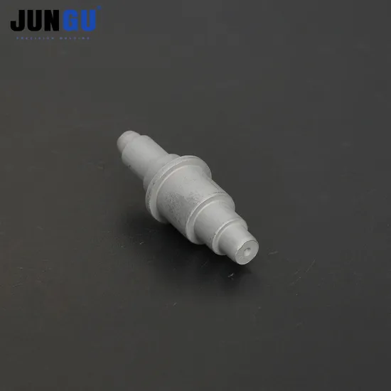 Manufacture Supply High Speed Steel Mould Fastener Mold Polishing Dies