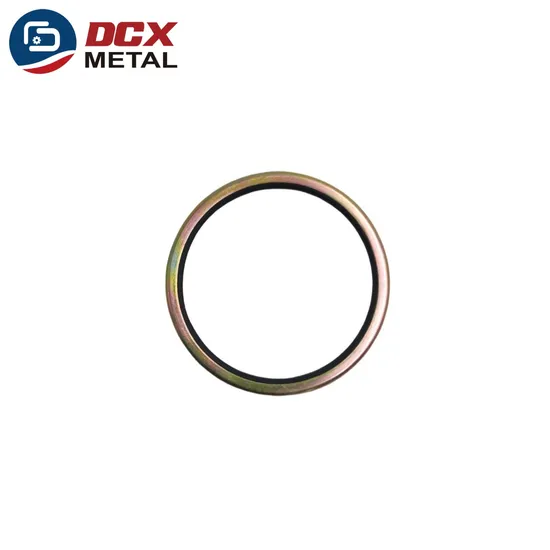 SPCC Vulcanized Rubber Custom Sealing Element Color Zinc-Plated Seals Ring