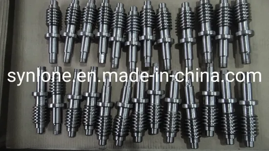 CNC Machining Auto Spare Parts Car Accessories Shaft Gear Worm