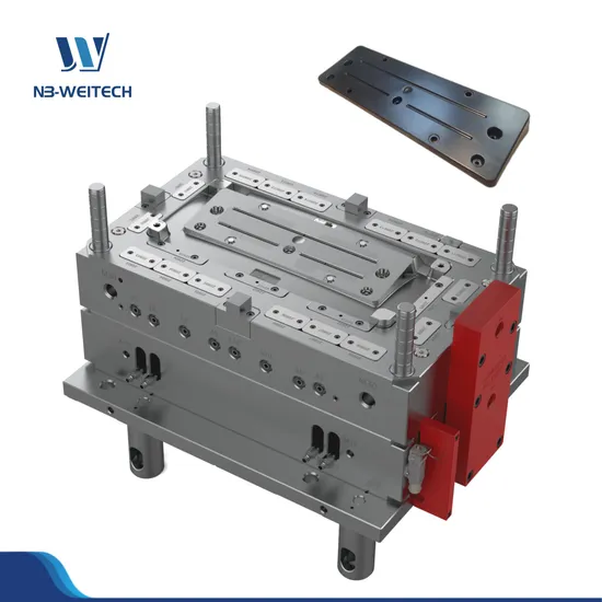 Auto License Plate Holder Plastic Injection Mould