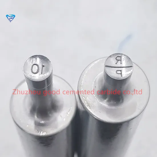 Punch Tooling/RP10 RP20 Round Tablet Press Dies/Mould for Zp9 Tablet Press Machine