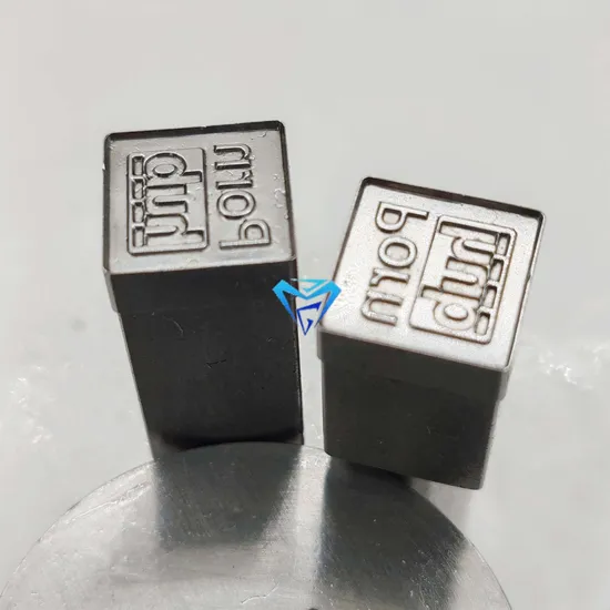 High Quality Carbide Mold Tablet Forming Mold Single Punch Die Tdp