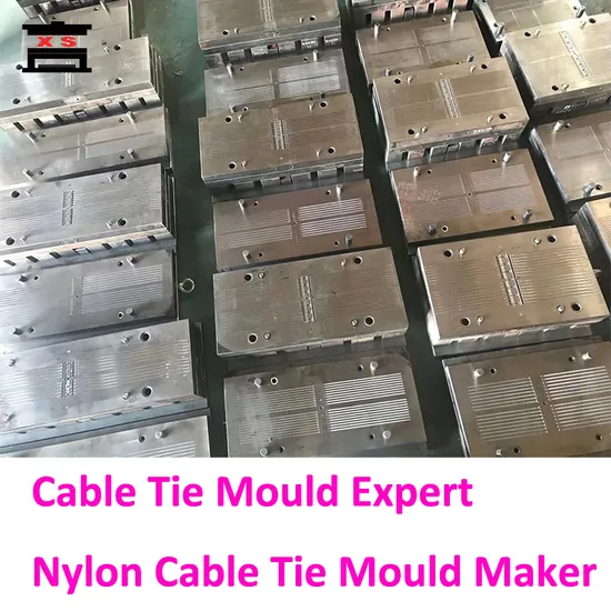 Specialized Plastic PA66 Nylon Cable Tie Security Seal Mould Manufacturer