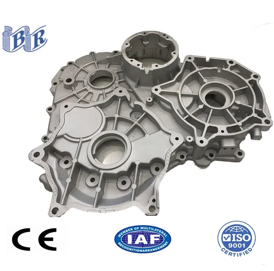 Premium Versatile Aluminum Die Casting Mold for Left Body