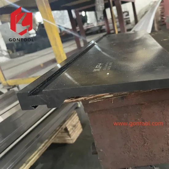China Best Quality Hydraulic Automatic Press Brake Die