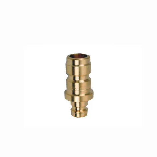 Mold Cooling System DIN AISI Copper Nozzle Zz830 for Plastic Mold Die