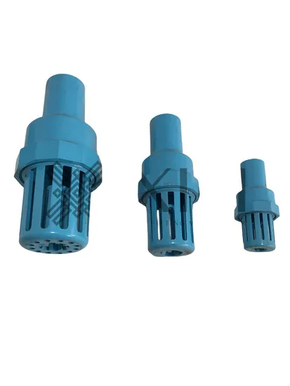 PVC Flap One Way Flow Swing Check Valve Mould