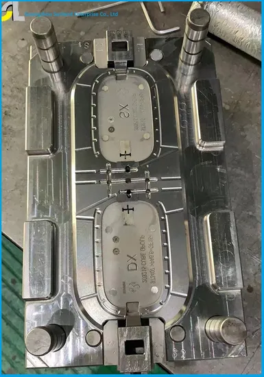 Customized High Precision Injection Mold