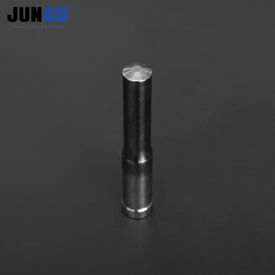 Cold Header Screw Production Cold Forger Punch Die Jg-PP-HP-163-1