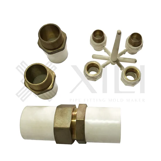 PVC PP Brass Insert Thread Pipe Fitting Injection Mould